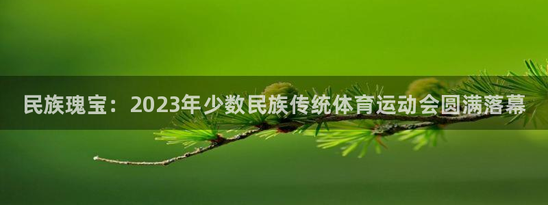 米兰体育官方正版app娱乐首页官网下载:民族瑰宝:2023年