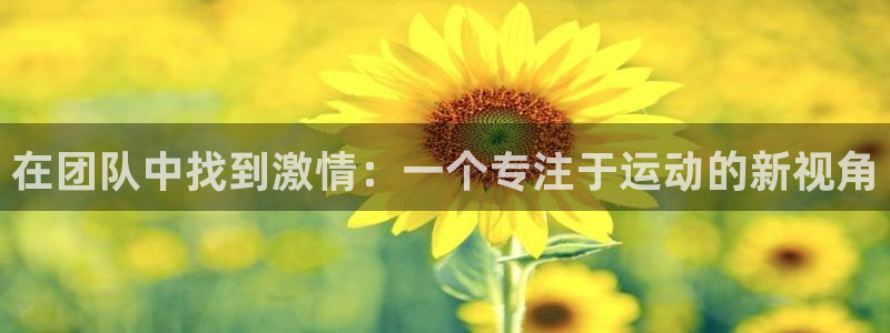 米兰体育官网下载招商电话号码查询:在团队中找到激情:一个专注