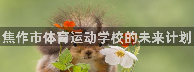 米兰体育官网下载官方客服电话:焦作市体育运动学校的未来计划
